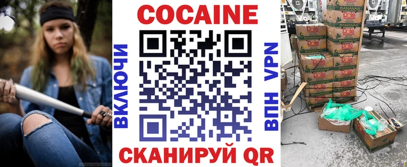 COCAIN Fish Scale  дарнет шоп  Каргополь 