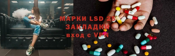 PSILOCYBIN Абдулино