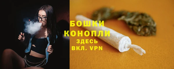 PSILOCYBIN Абдулино